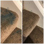 carpet cleaning wirral